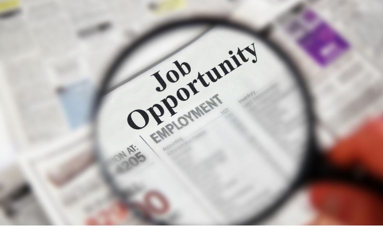 What You Need to Know About Job Searching in the Digital Age?