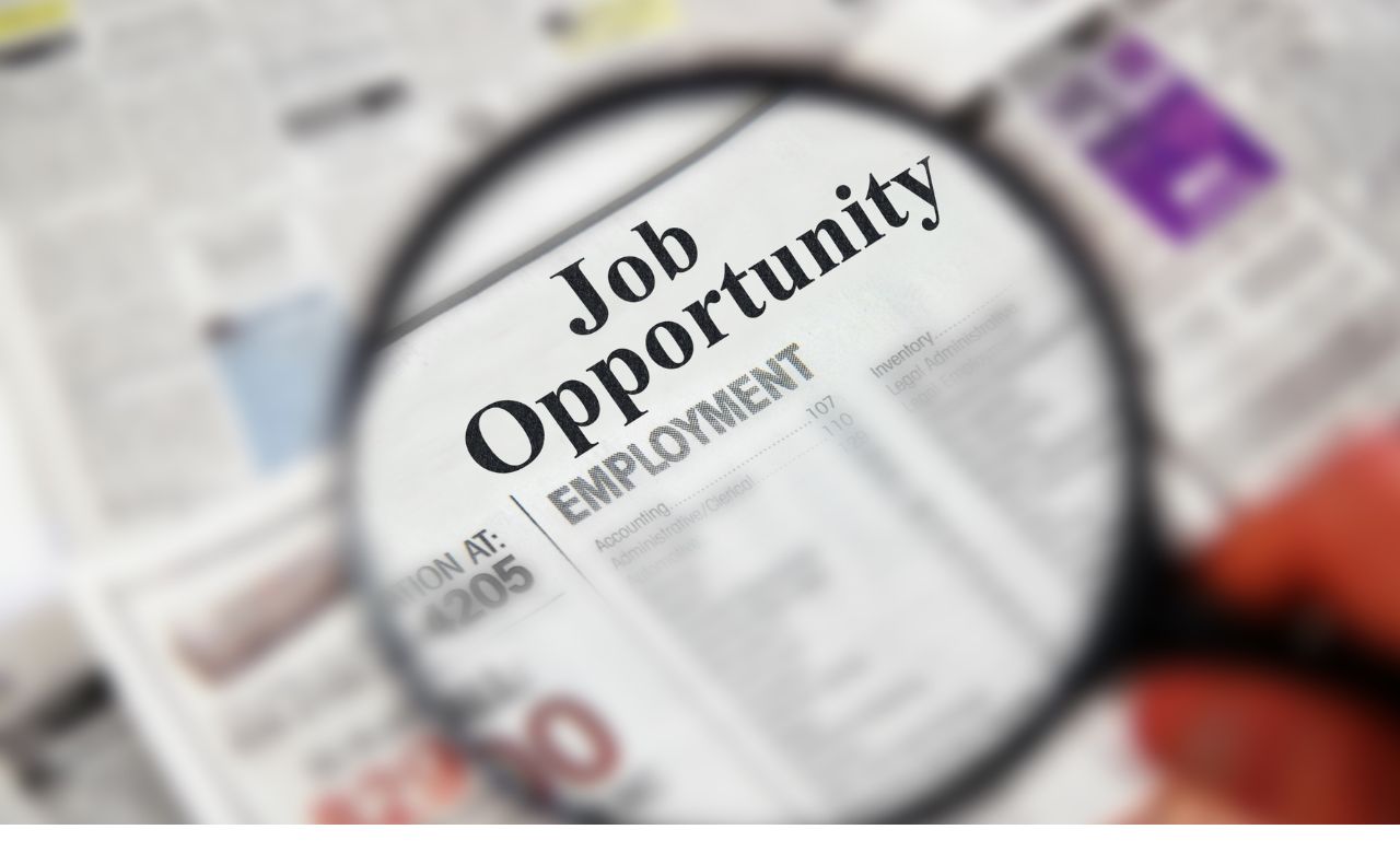 What You Need to Know About Job Searching in the Digital Age?