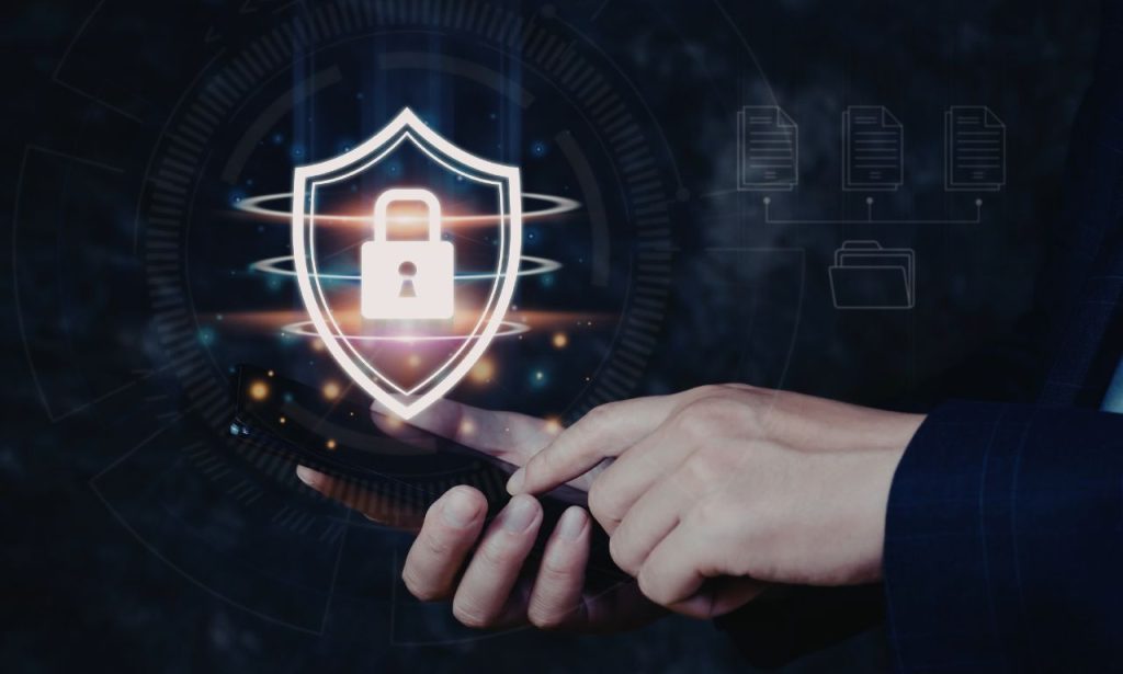 What is the Evolution of Privacy Rights in the Digital Age?