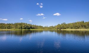 What are the Epic Things to Do in Queenstown?